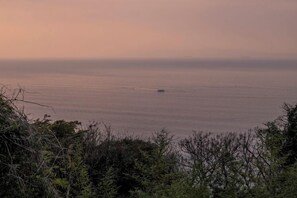 Miscellaneous - Chidori-an <awajishima> (Awaji)