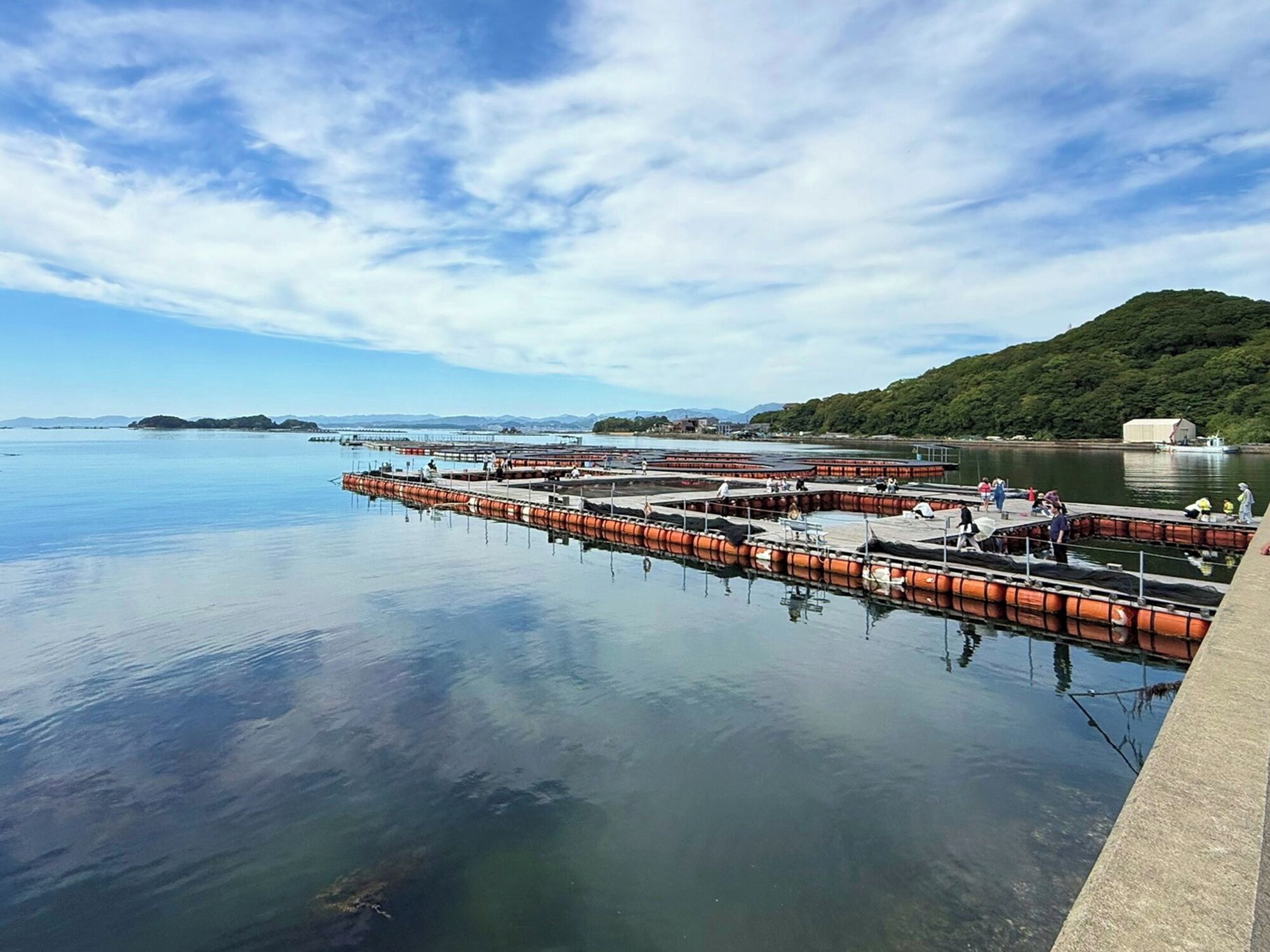 Una orilla tranquila con un muelle que se adentra en el agua, rodeada de vegetación y colinas distantes.