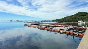 Una orilla tranquila con un muelle que se adentra en el agua, rodeada de vegetación y colinas distantes.