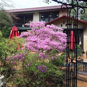 Property grounds - Gora Onsen Gora Kazenone (Hakone)