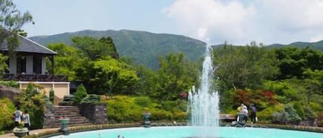 Área da propriedade