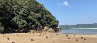 Hotel Nakamuraso