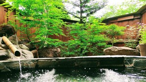 A tranquil garden with a pond, bamboo, rocks, and wooden fencing. - Pension Schooner (Nasu)