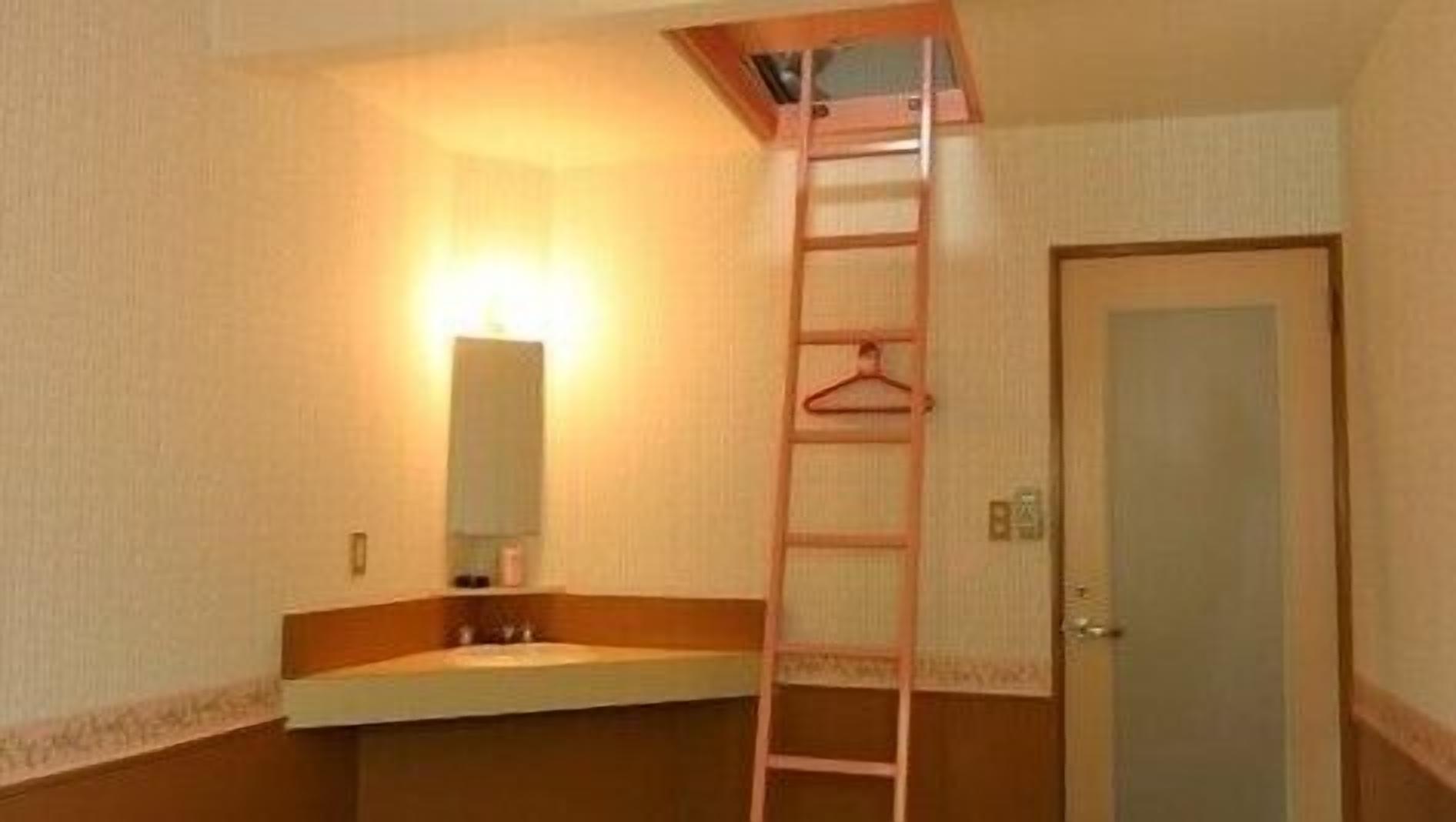 Een badkamer met een wastafel, spiegel en een houten ladder.