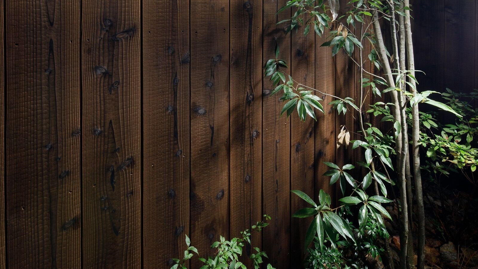 외부 세부 사진