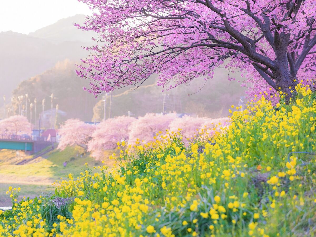기타