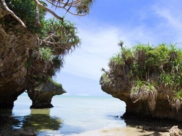 Playa