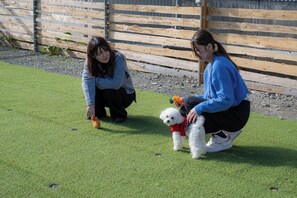 Property grounds - Nishiizu Glamp (Matsuzaki)