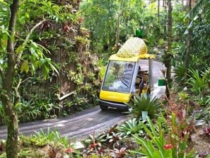 Property grounds - Kariyushi Condominium Resort Onna Yudeikiya (Onna)