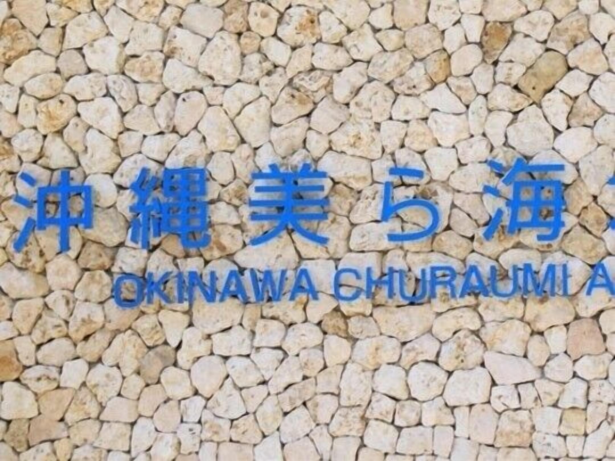 A stone wall with the text "OKINAWA CHURAUMI" in blue.