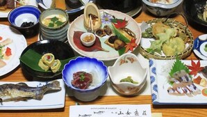 Unclassified image, 3 of 12, button - Yamameso (Yatsushiro)
