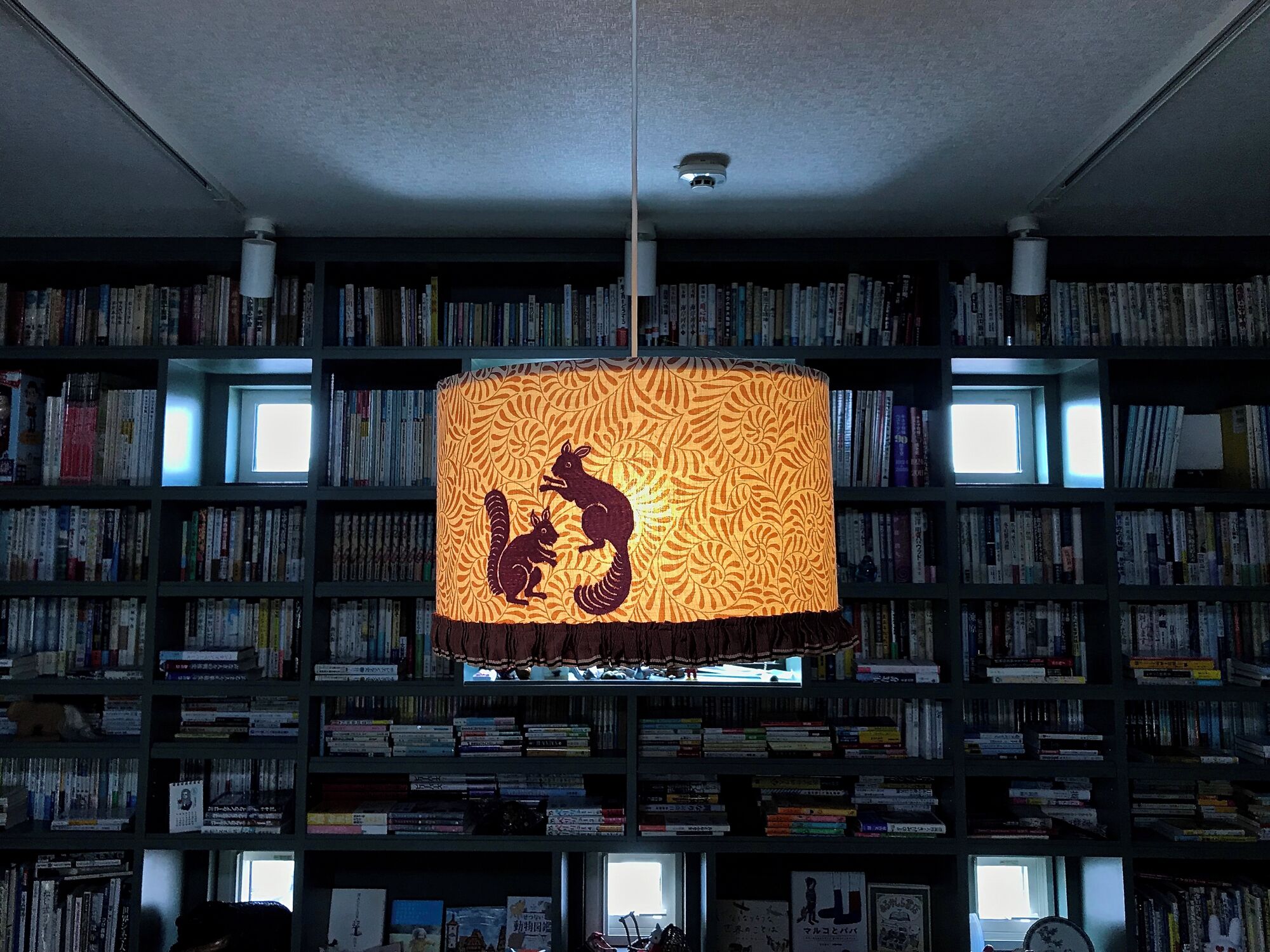 Eine Bibliothek mit Bücherregalen, einer gemusterten Pendelleuchte und einer an der Decke befestigten Kamera.