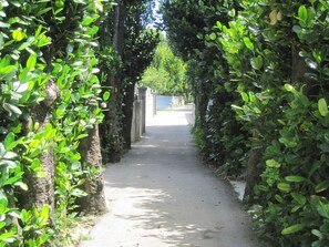 Property grounds - Pukara-sa (Nakijin)