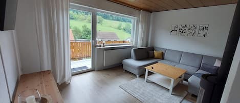 Télévision, cheminée