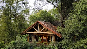 A rustic wooden cabin nestled in a dense forest. - Avana Holiday Experiences (Kalpetta)