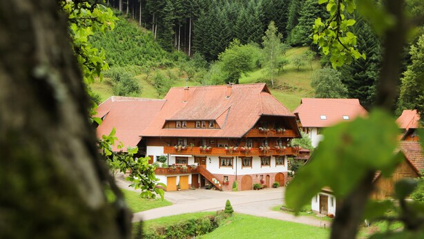 En traditionell byggnad i chaletstil med flera balkonger, en central trappa och ett frodigt, grönskande landskap runt omkring.