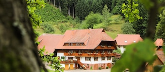 Bläsihof - Apartment '4 Bachblick' with Shared Terrace, Balcony and Wi-Fi