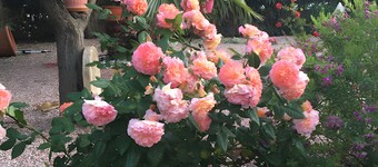 Villa Désirée Agde – Guest Room with Private Terrace and Garden
