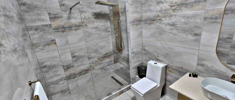 A modern bathroom with a walk-in shower, a toilet, and a sink.