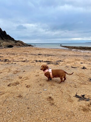Playa