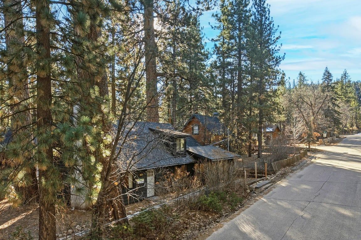 A residential area with a house surrounded by tall pine trees.