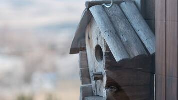 A wooden birdhouse attached to a building with a view of a distant landscape.