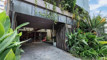 Quang cảnh vườn