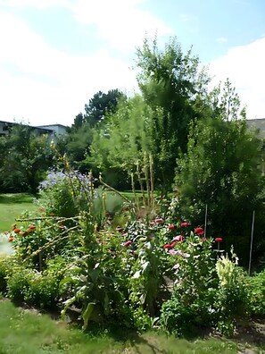Ein Garten mit verschiedenen Pflanzen und Blumen, einem Holzzaun und einem Gebäude im Hintergrund.