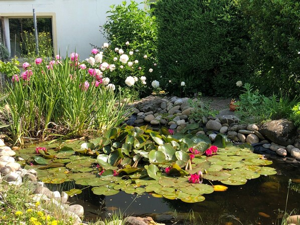 Een tuin met een vijver, rotsen en verschillende planten.