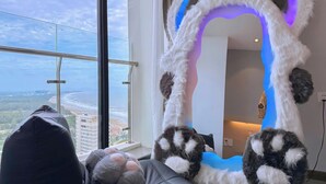 A room with a large window overlooking a beach, a fluffy white and black pet bed, and a mirror with a blue light. - CSJ TOWER (Ho Chi Minh City)