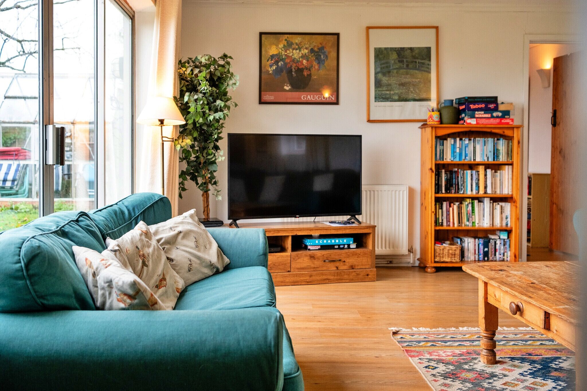 TV, fireplace