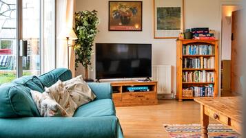 TV, fireplace