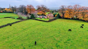 Un paisaje rural con un campo verde, algunas vacas y una casa tradicional con tejado de paja.