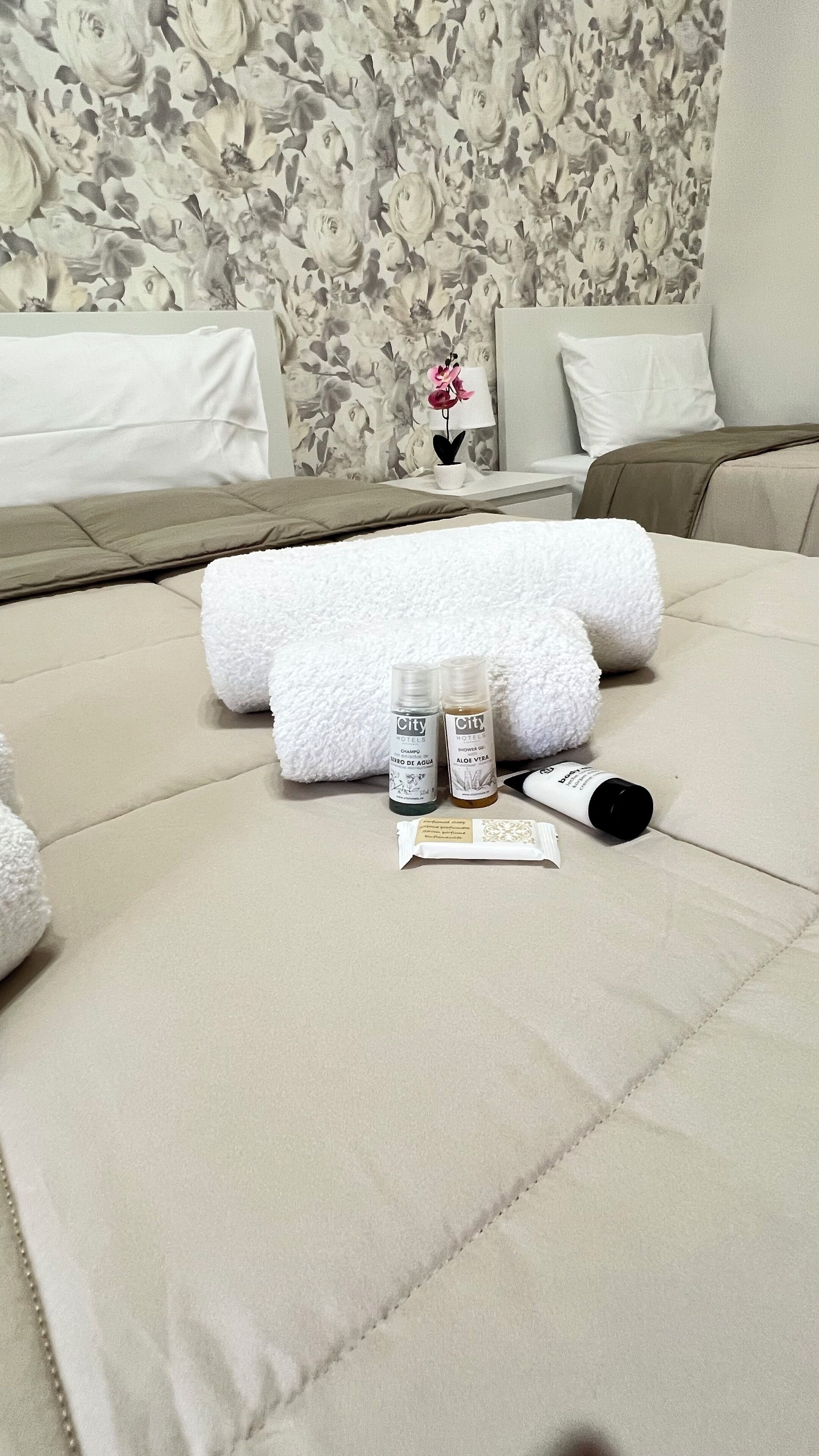 Una scrivania, Wi-Fi gratuito, lenzuola