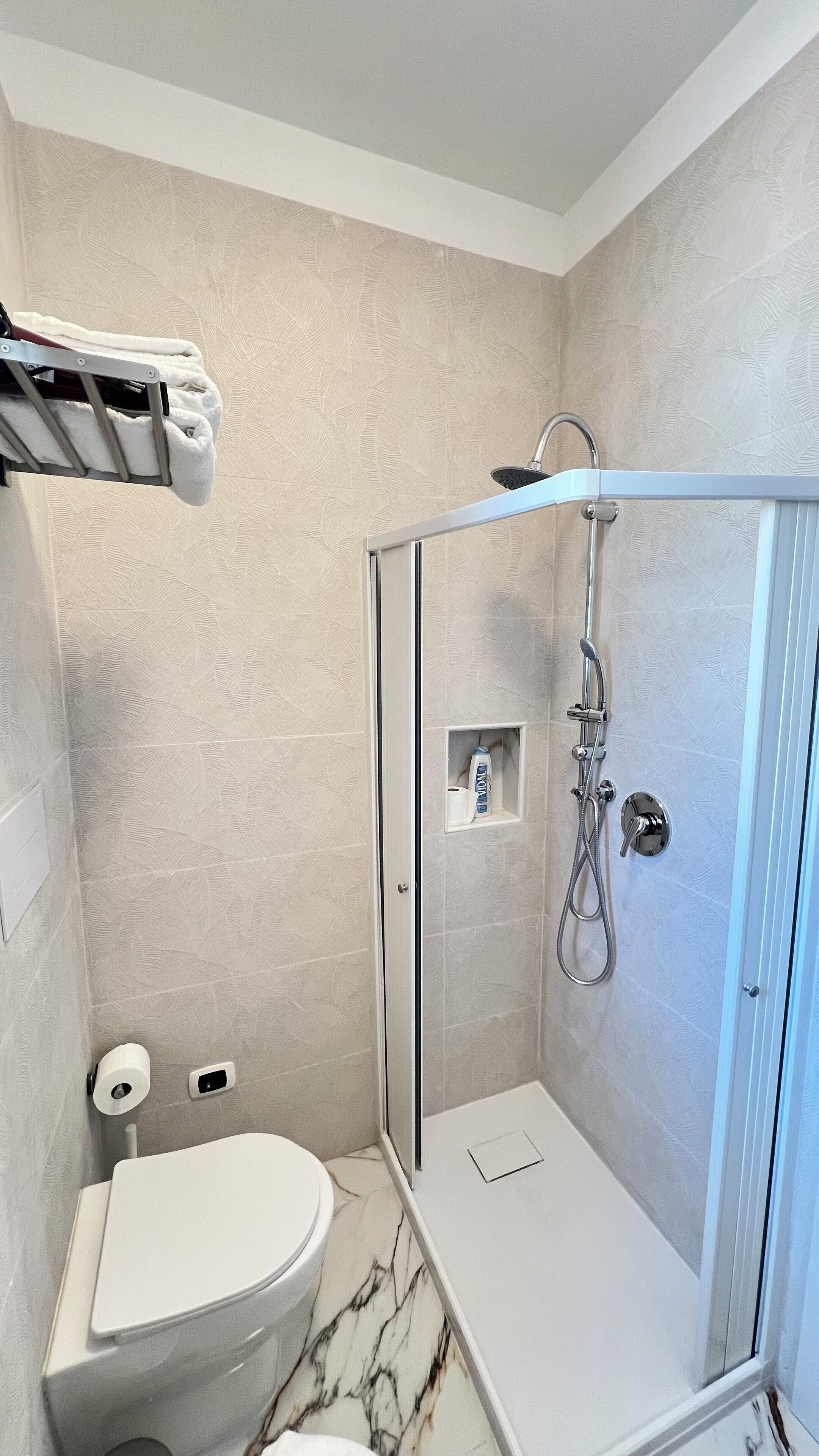 Shower, hair dryer, bidet, towels