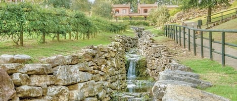 المنطقة المحيطة بالمنشأة