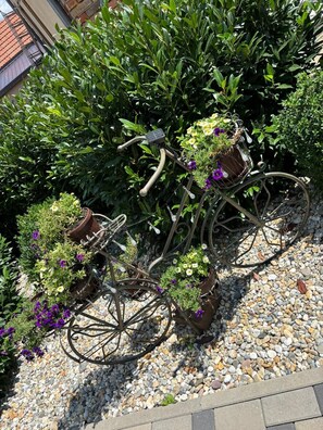 Overnattingsstedets uteområder