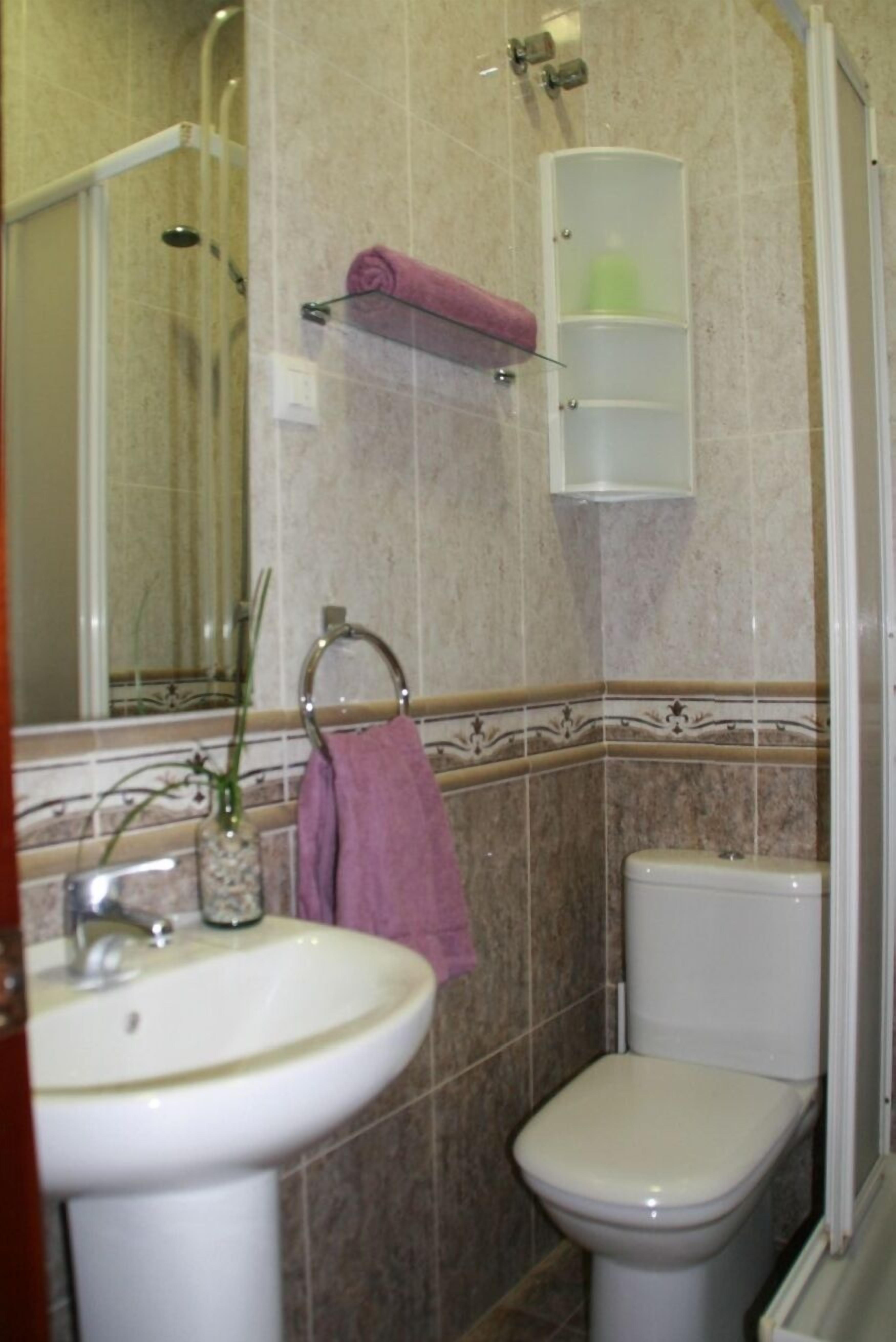 Une salle de bain avec un lavabo, des toilettes et une douche.