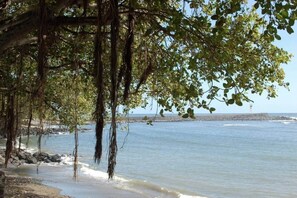 Beach - The Studio / The Cocottes Terre Sainte (Saint Pierre)