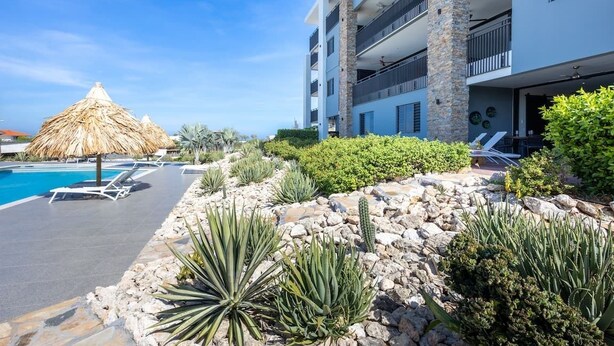 A poolside area with lounge chairs, a thatched umbrella, and a variety of desert plants. - Luxury ground-floor retreat with poolside terrace - Coral Estate (Sint Willibrordus)