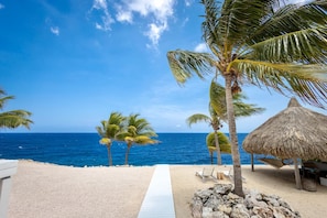 A beach with a thatched hut, palm trees, and a clear blue sky. - Beachfront villa with private beach and pool (Sint Willibrordus)