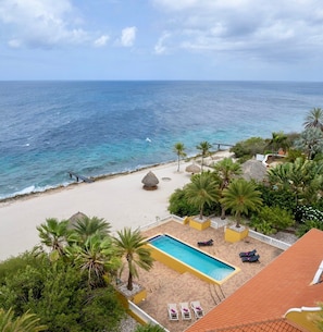 Ein Poolbereich mit Blick auf den Ozean, umgeben von Palmen und einem Strand.