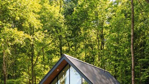 A modern cabin with a large glass window, surrounded by a natural forest setting.