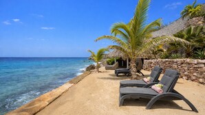 A beachside lounge with lounge chairs, a palm tree, and a stone wall. - Elegant seaside retreat with private beach - Coral Estate (Sint Willibrordus)