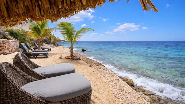 A beachside view with wicker lounge chairs, a palm tree, and clear blue water. - Elegant seaside retreat with private beach - Coral Estate (Sint Willibrordus)