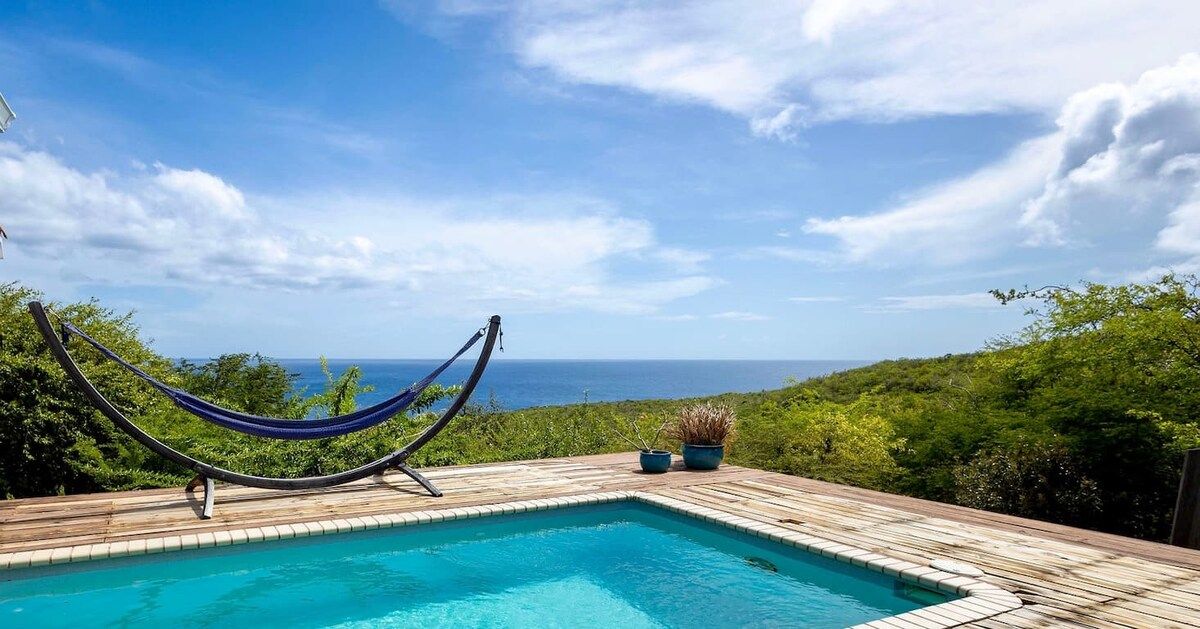 A pool with a hammock and potted plants on a wooden deck with a view of the ocean.