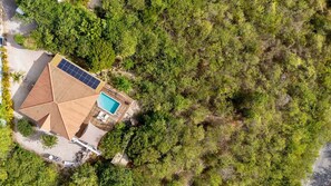 A house with a swimming pool, surrounded by dense greenery. - Spacious villa with pool and ocean views (Sint Willibrordus)