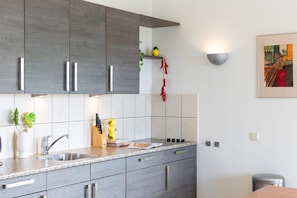 A modern kitchen with grey cabinets, a stainless steel sink, and a countertop with a knife block and a plant. - Modern villa with private pool and garden views (Sint Willibrordus)