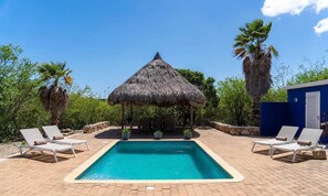 Pool - Serene garden villa with pool and sea breeze - Coral Estate (Sint Willibrordus)