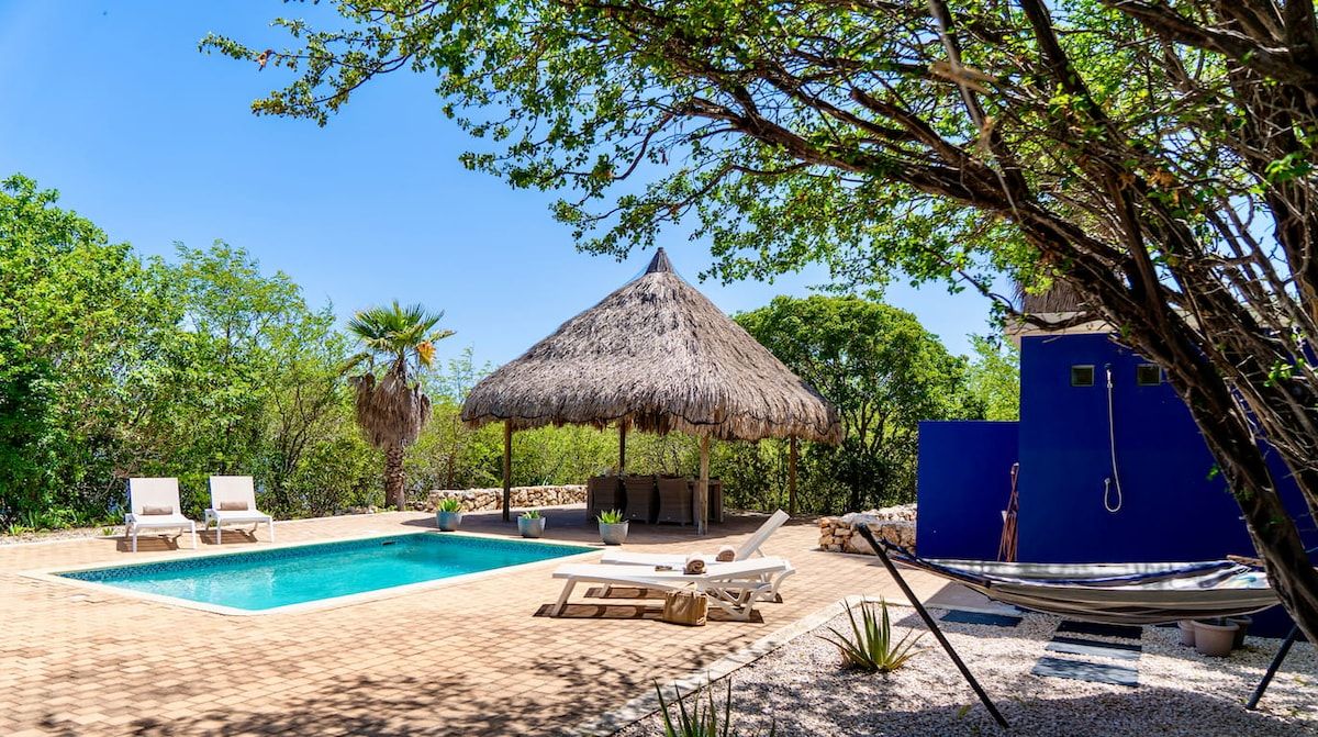 A swimming pool with lounge chairs, a thatched-roof hut, and a blue building.